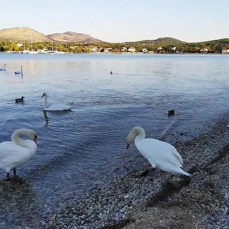 Ljubica Apartman *