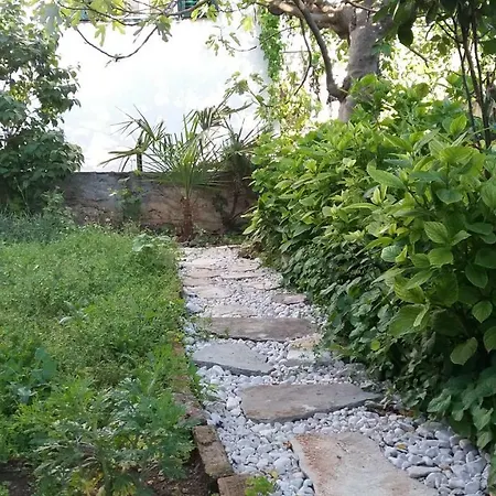 Ljubica * Šibenik
