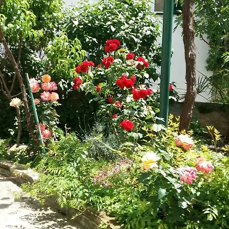Apartment Ljubica Sibenik